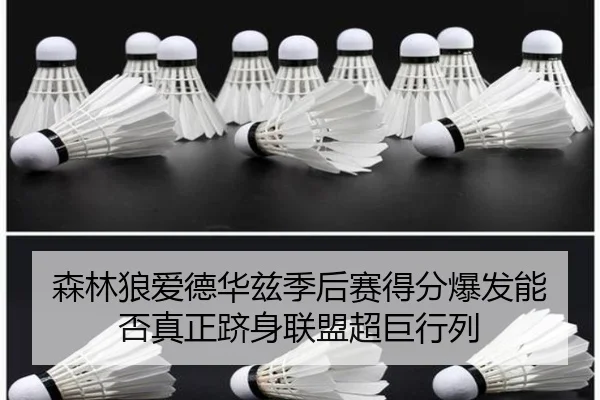 森林狼爱德华兹季后赛得分爆发能否真正跻身联盟超巨行列